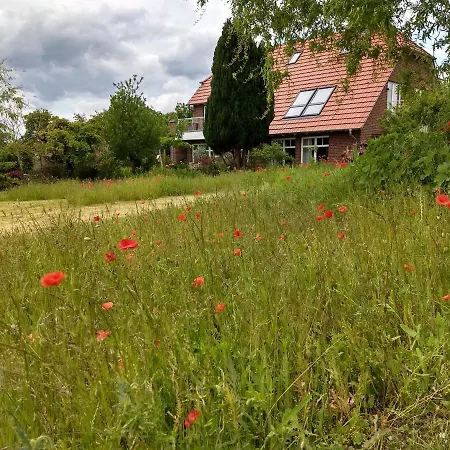 Haus Rosengarten- Ruhige Ferienwohnungen Im Gruenen Sehlen Eksteriør billede