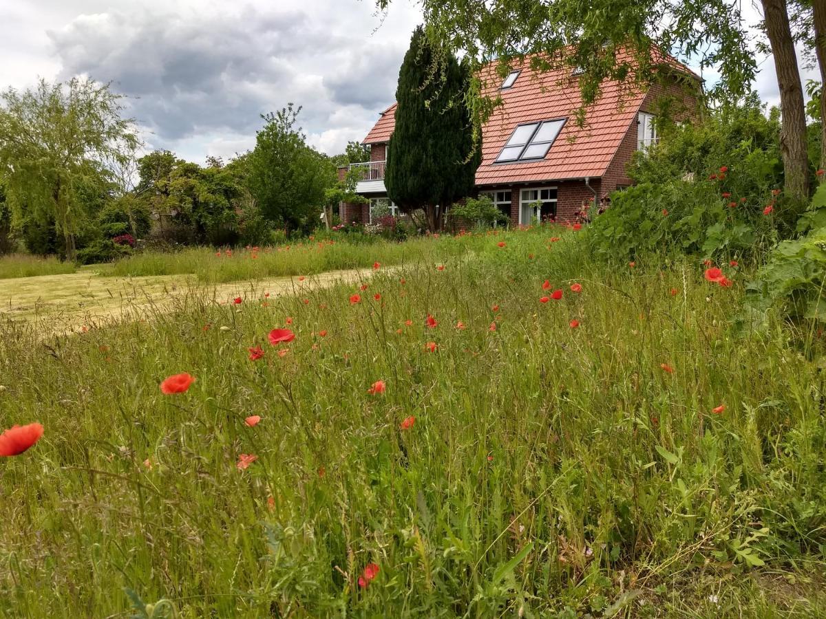 Apartment Haus Rosengarten- Ruhige Im Grünen Sehlen